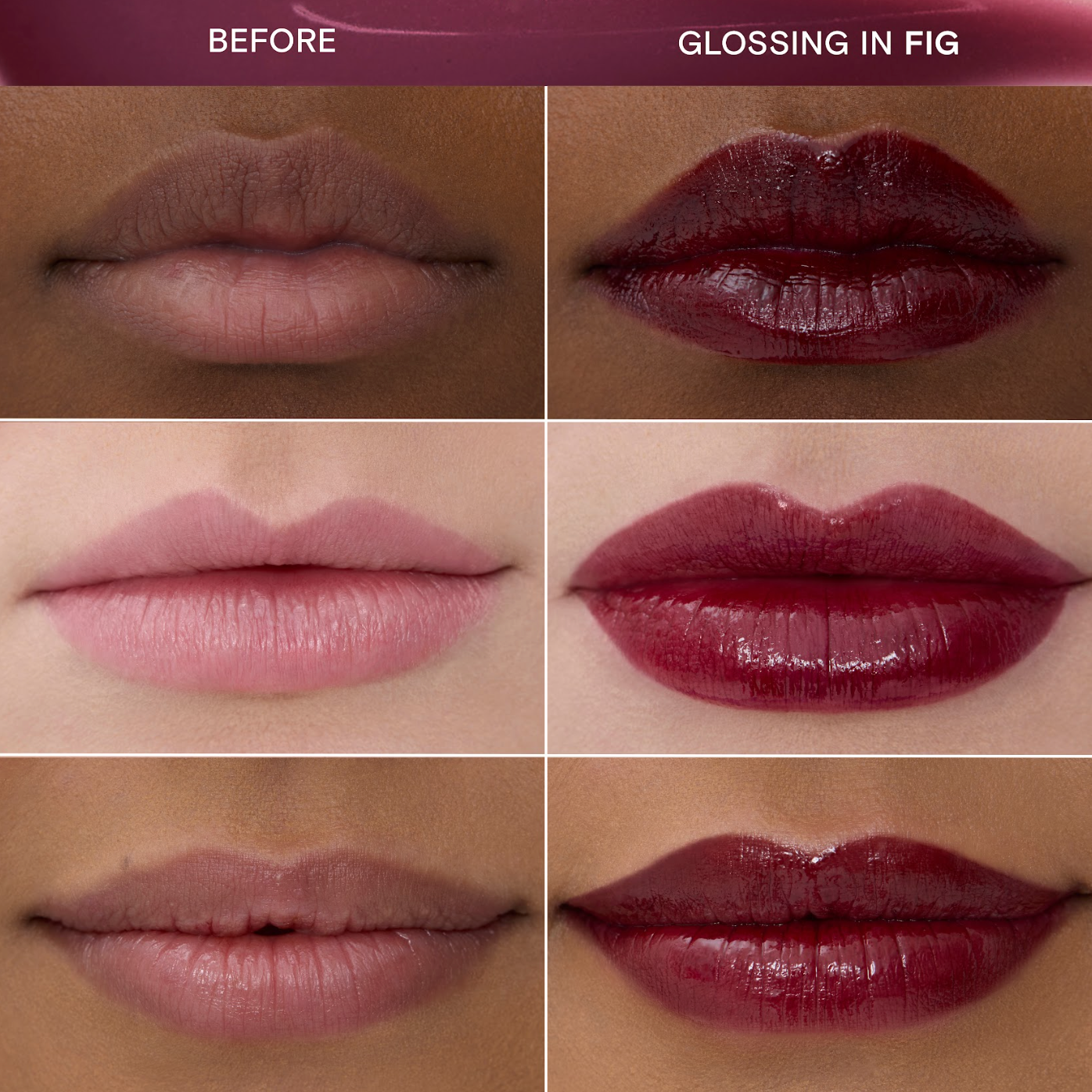 Fig|||LIP-LL-FI