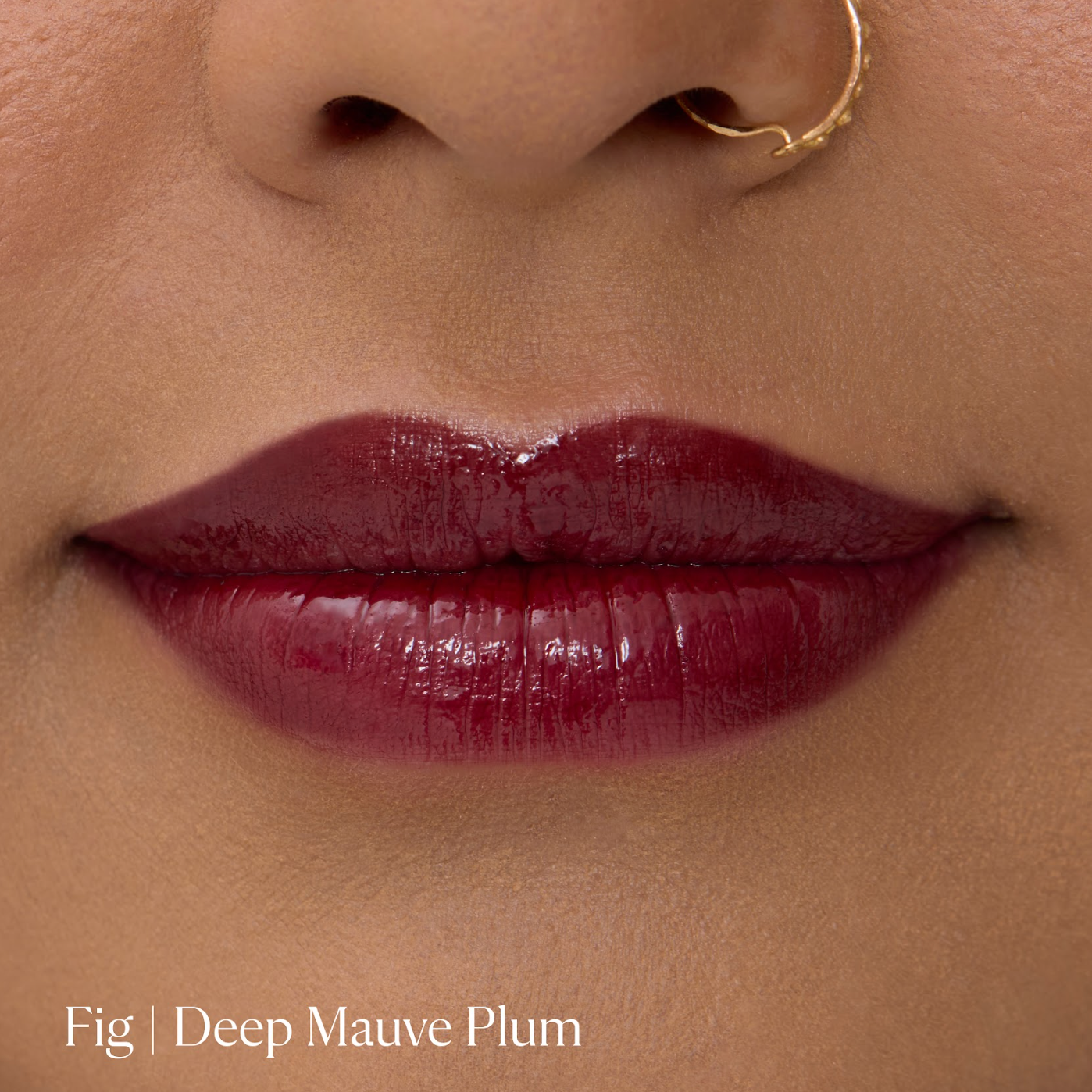 Fig|||LIP-LL-FI