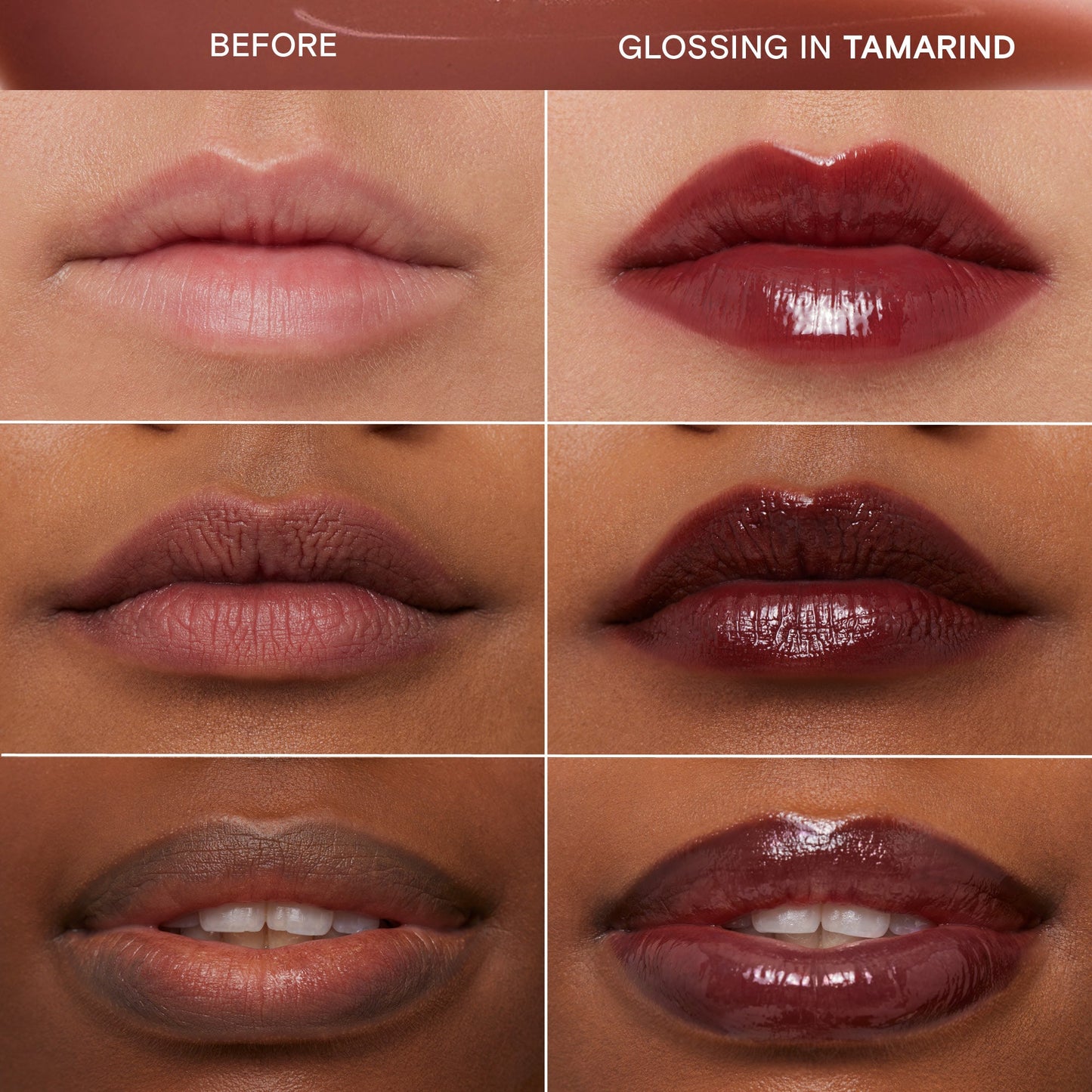Tamarind|||LIP-LL-TA01