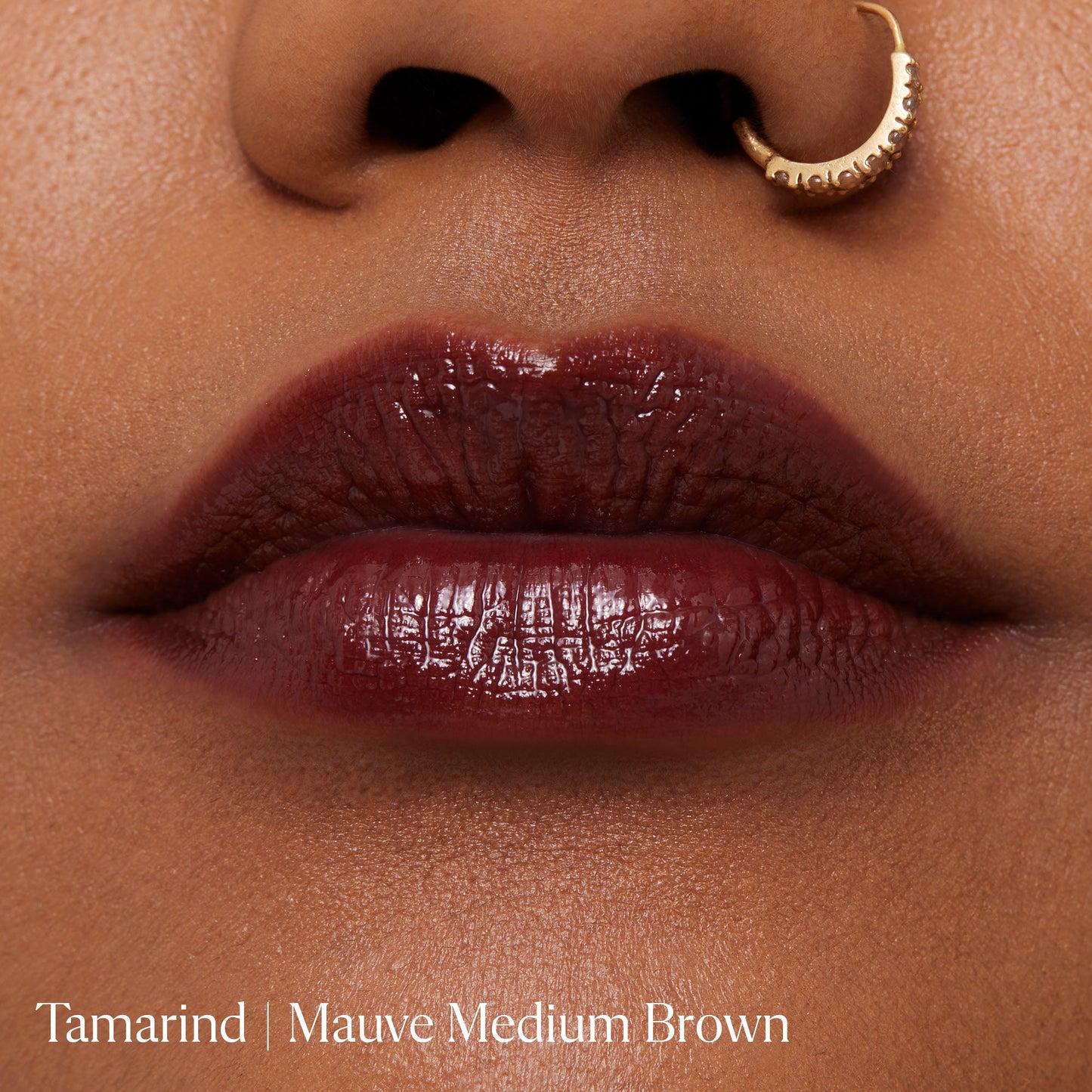 Tamarind|||LIP-LL-TA01