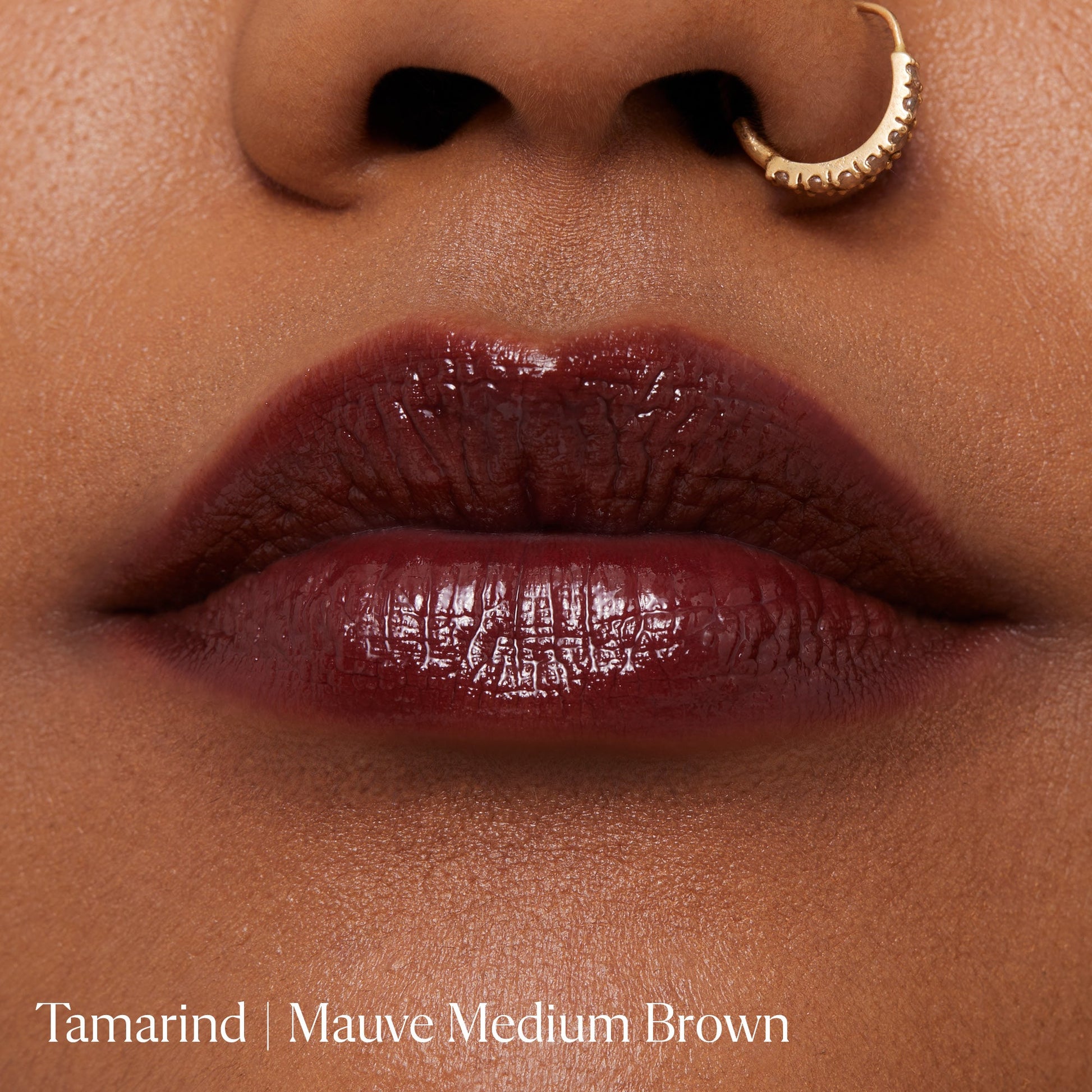 Tamarind|||LIP-LL-TA01