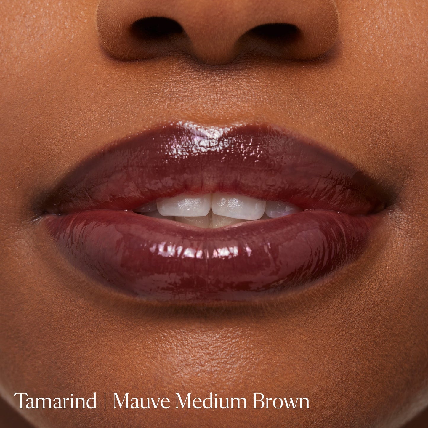 Tamarind|||LIP-LL-TA01
